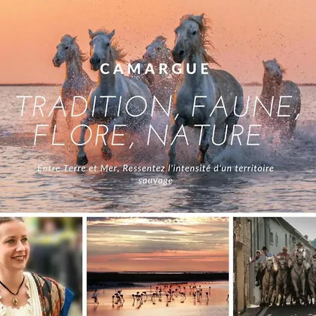 Centre - Acces Piscine - 300m De La